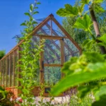 Dřevěný skleník Ellia Dřevěný skleník Ellia