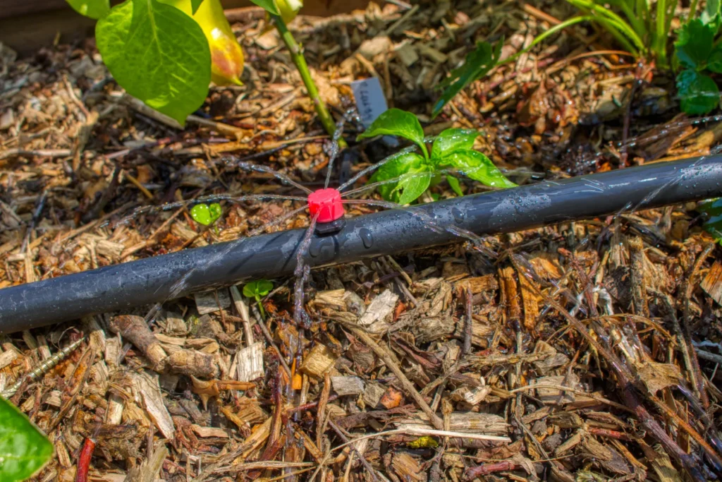 Příprava na automatickou závlahu