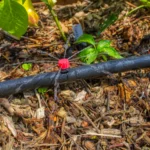 Příprava na automatickou závlahu Příprava na automatickou závlahu