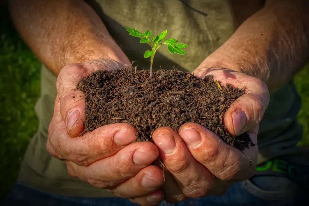 Modřínová podlaha<br>