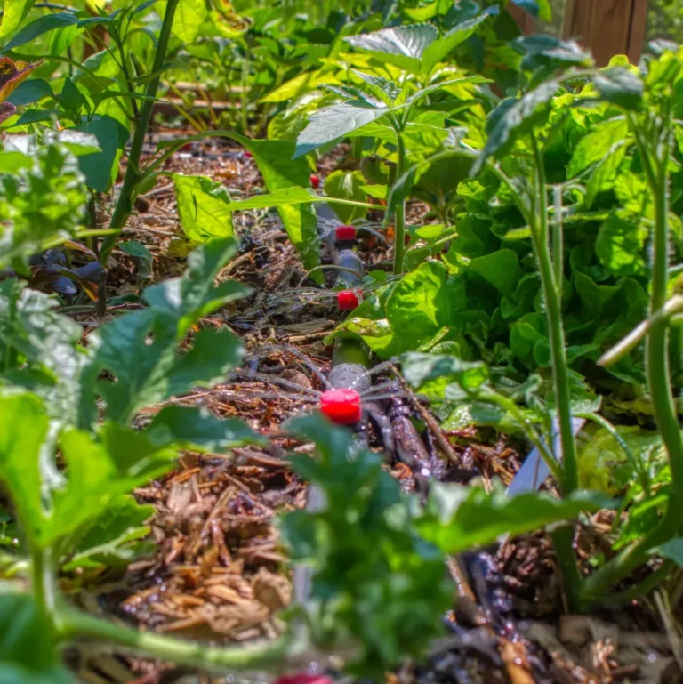 CHYTRÁ VÝBAVABezstarostné pěstování a vzdálený dohled