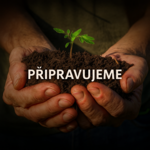 ÁINE Prostornější skleník, ve kterém se najde místo i pro odpočinek